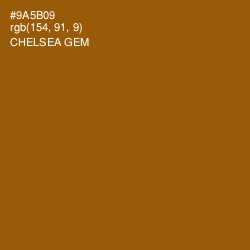 #9A5B09 - Chelsea Gem Color Image
